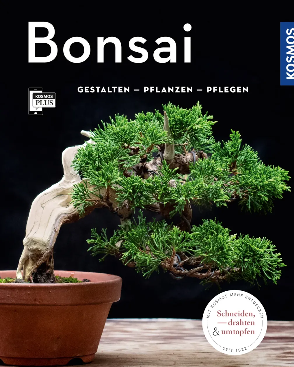 Bonsai (Mein Garten)