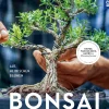 Bonsai selbst gezogen