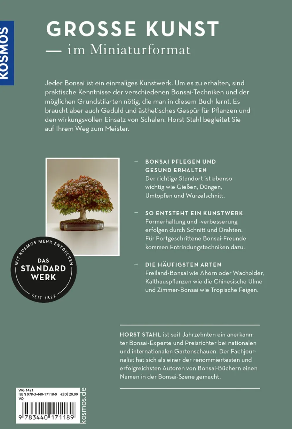 Bonsai - vom Grundkurs zum Meister