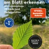 Bäume am Blatt erkennen - 78 Laub- und Nadelgehölze. Blätter in Originalgröße