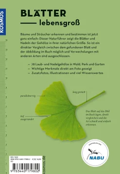 Bäume am Blatt erkennen - 78 Laub- und Nadelgehölze. Blätter in Originalgröße