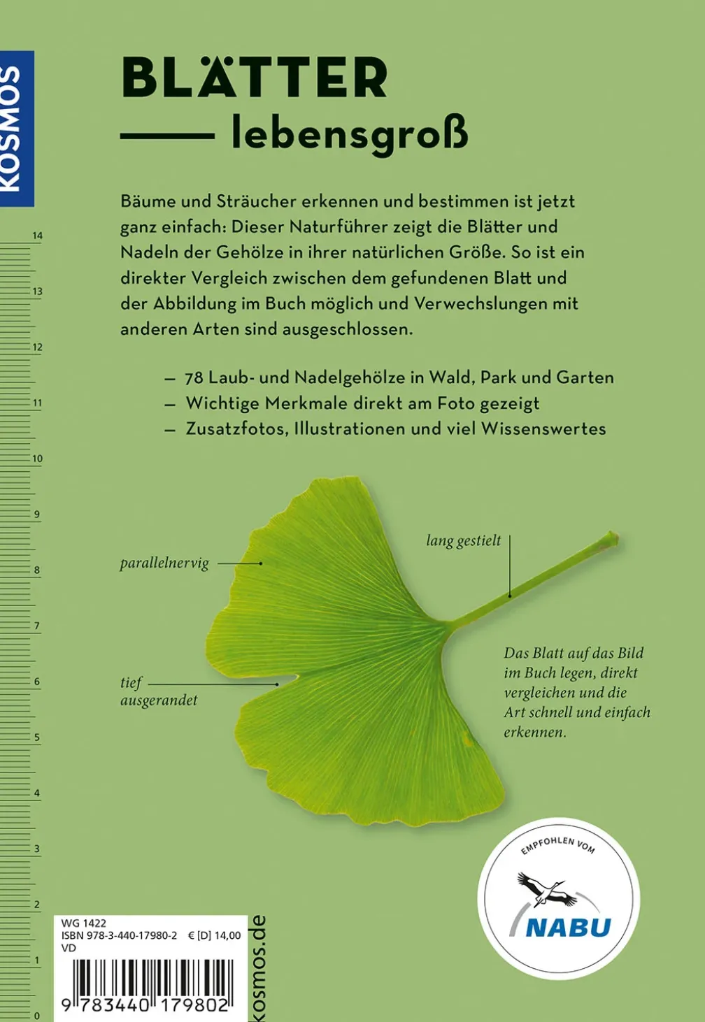 Bäume am Blatt erkennen - 78 Laub- und Nadelgehölze. Blätter in Originalgröße