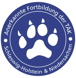 Charakteranalyse für Hundetrainer – Hund-Mensch-Teams in Einklang bringen mit dem DISG-Modell