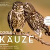 Coole Käuze