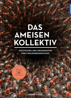 Das Ameisenkollektiv
