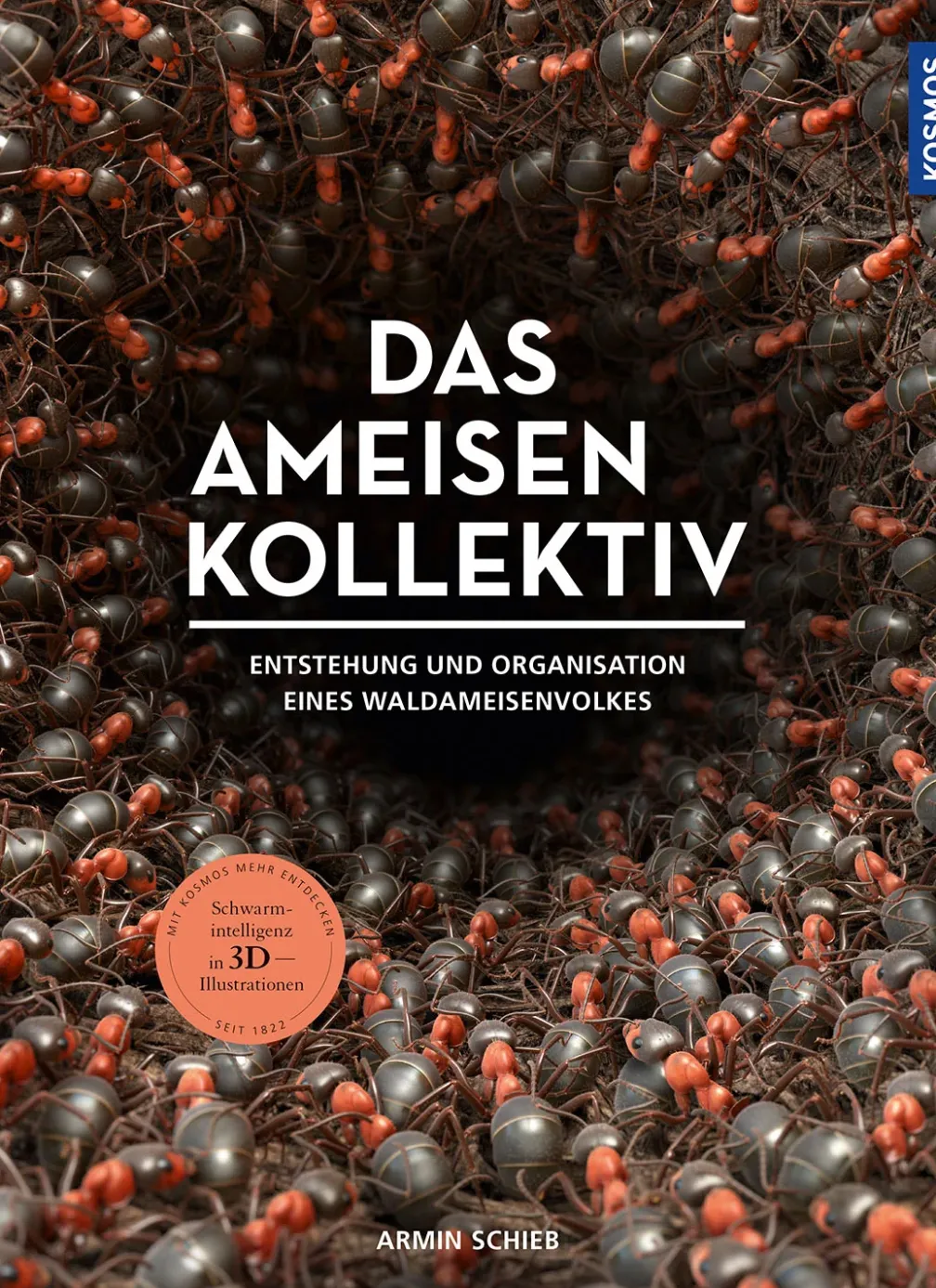 Das Ameisenkollektiv