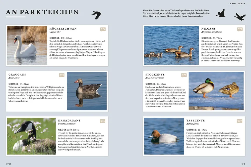 Das Buch der Gartenvögel