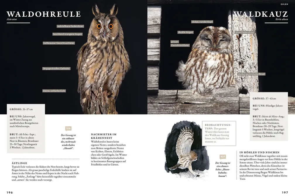 Das Buch der Gartenvögel