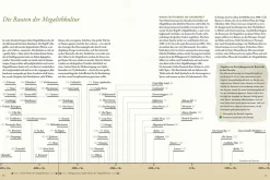 Das Geheimnis der Megalithen