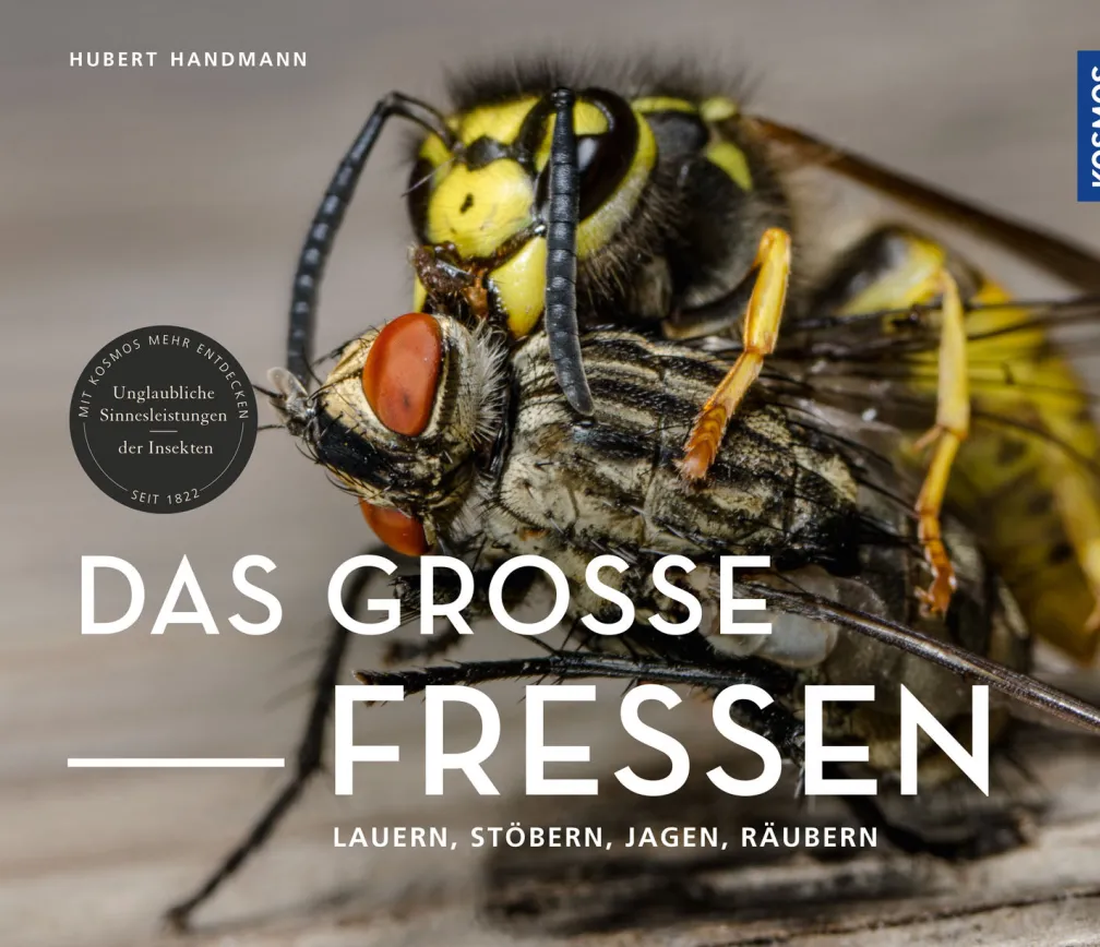 Das große Fressen