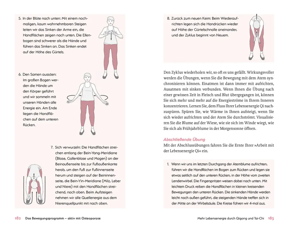 Das hilft bei Osteoporose - Alles zu Ursachen, Diagnostik und ganzheitlicher Behandlung
