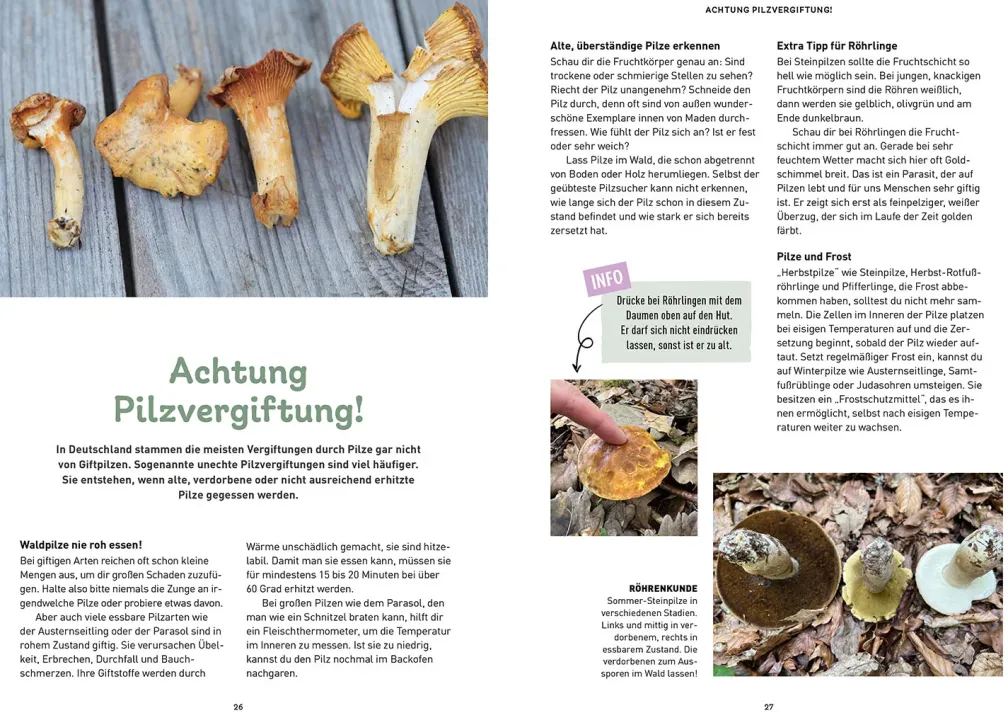 Das Pilzbuch für Kids