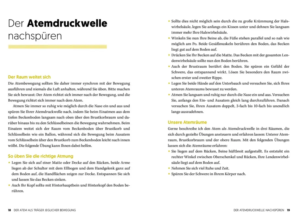 Das Rücken-Heilbuch