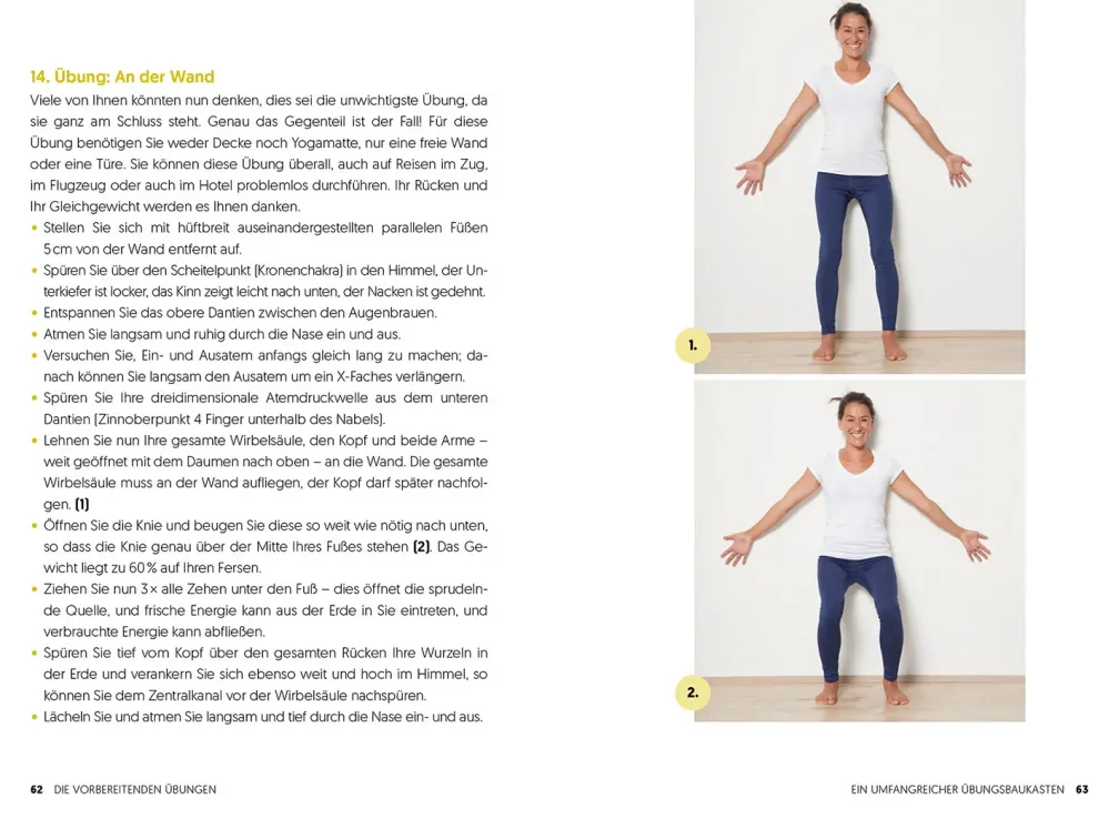 Das Rücken-Heilbuch