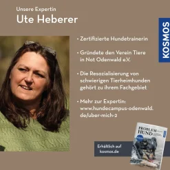 Das Sozialverhalten unserer Hunde – und was das mit mir zu tun hat