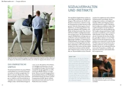Das Spiel mit der Energie