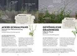 Das wächst in deiner Stadt