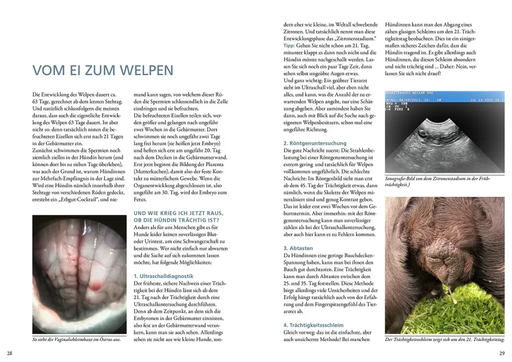 Das Zuchtbuch