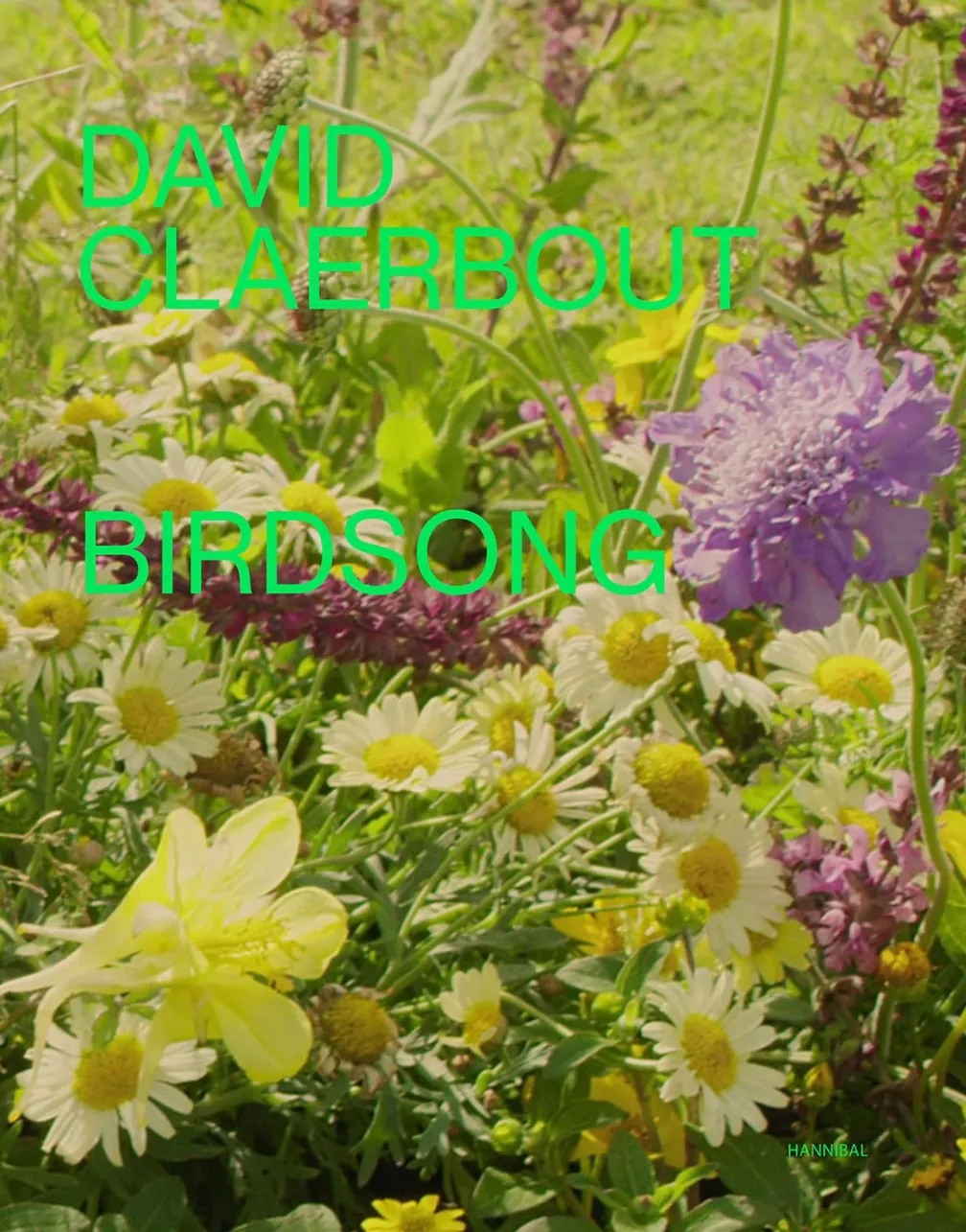 David Claerbout – Birdsong