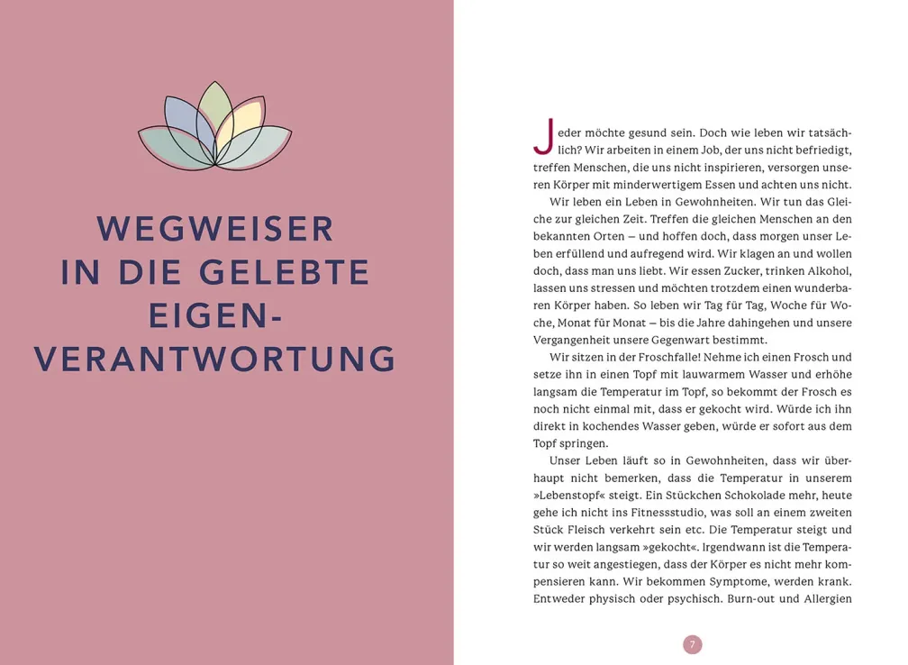 Dein Bewusstsein heilt fast alles