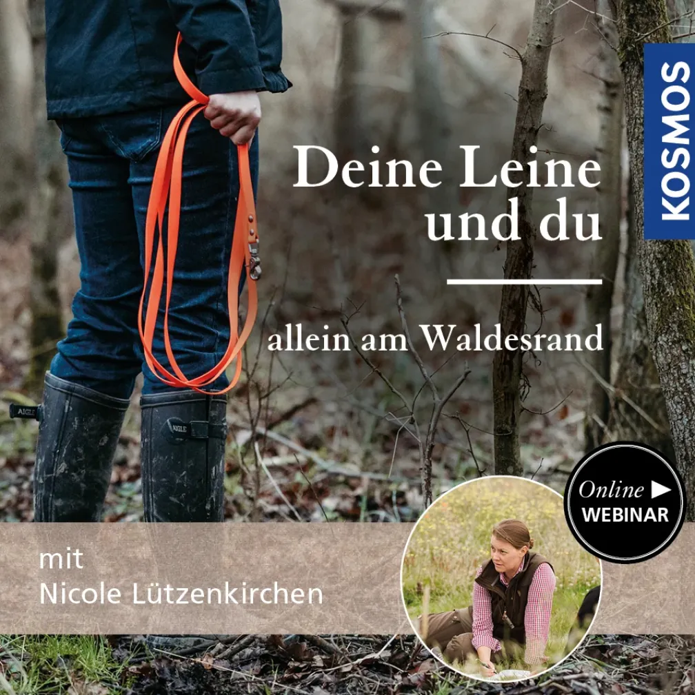 Deine Leine und du - Allein am Waldesrand