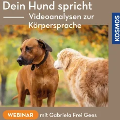 Dein Hund spricht – Videoanalysen zur Körpersprache