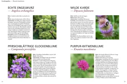 Der antiautoritäre Garten