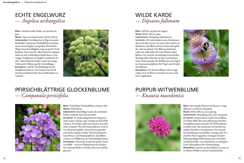 Der antiautoritäre Garten