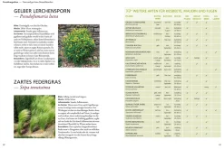 Der antiautoritäre Garten