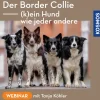 Der Border Collie – (k)ein Hund wie jeder andere