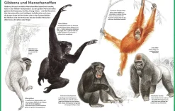 Der große Kosmos Tieratlas