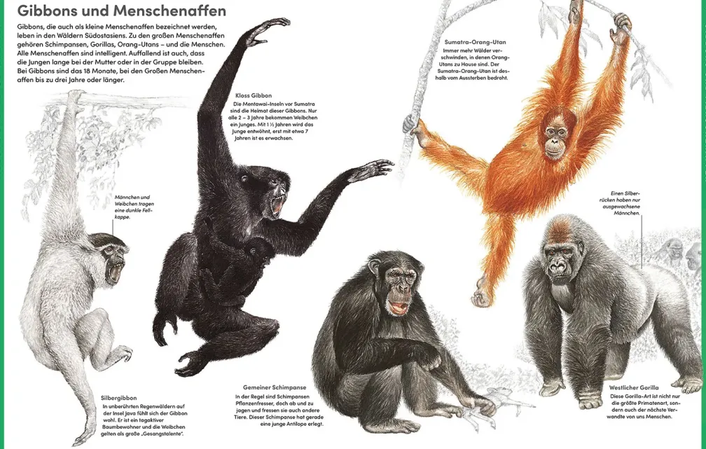 Der große Kosmos Tieratlas