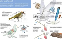Der große Kosmos Tieratlas