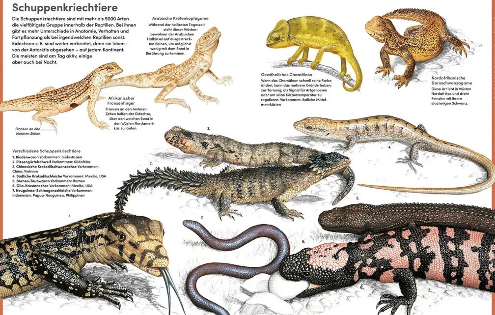 Der große Kosmos Tieratlas