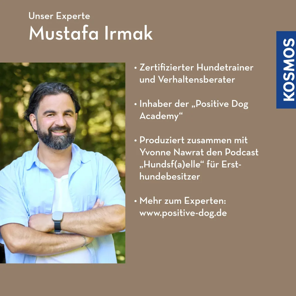 Der Hund als Spiegel des Menschen