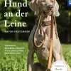 Der Hund an der Leine