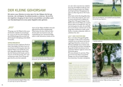 Der Jagdhundwelpe