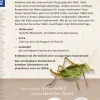 Der KOSMOS Insektenführer