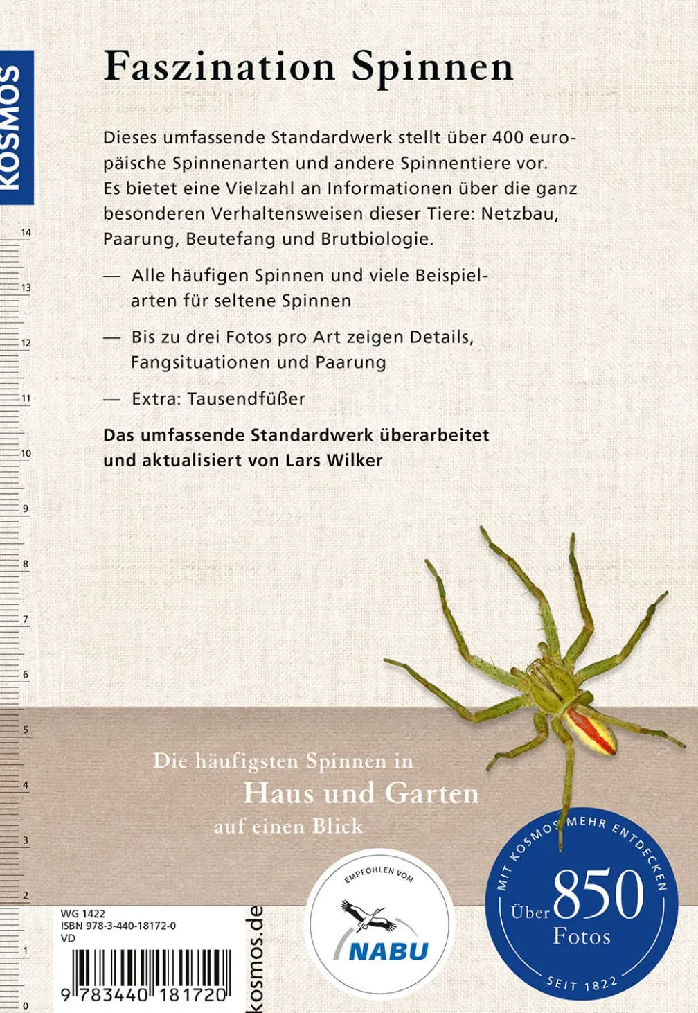 Der Kosmos Spinnenführer