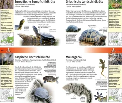 Der Kosmos Tier- und Pflanzenführer