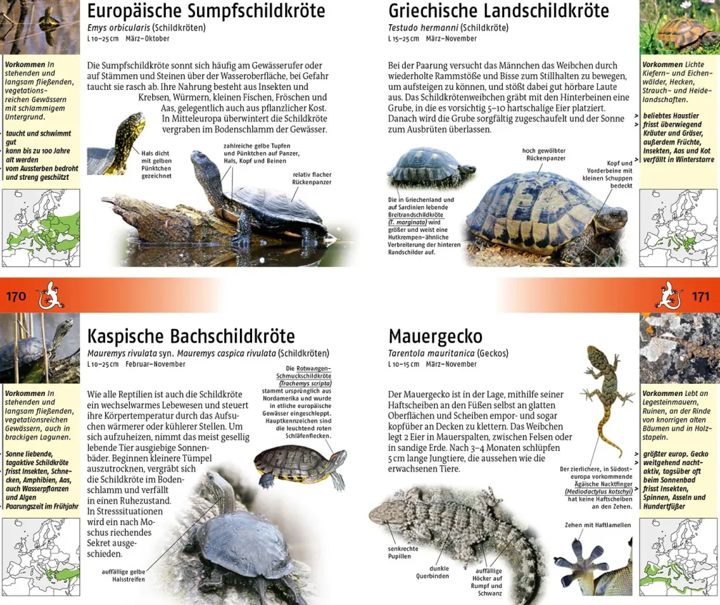 Der Kosmos Tier- und Pflanzenführer