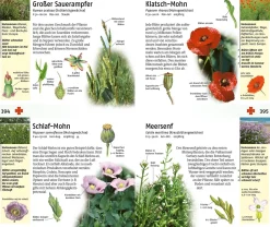 Der Kosmos Tier- und Pflanzenführer