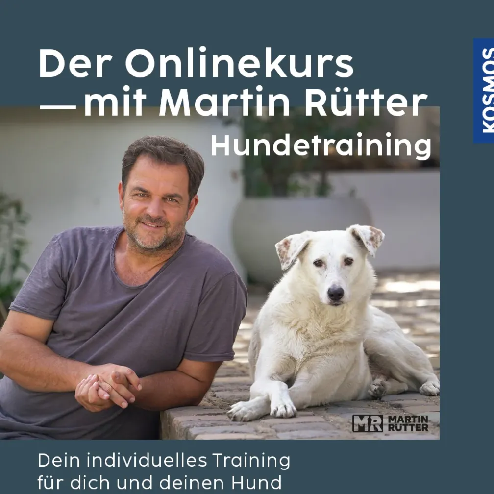 Der Onlinekurs mit Martin Rütter - Hundetraining