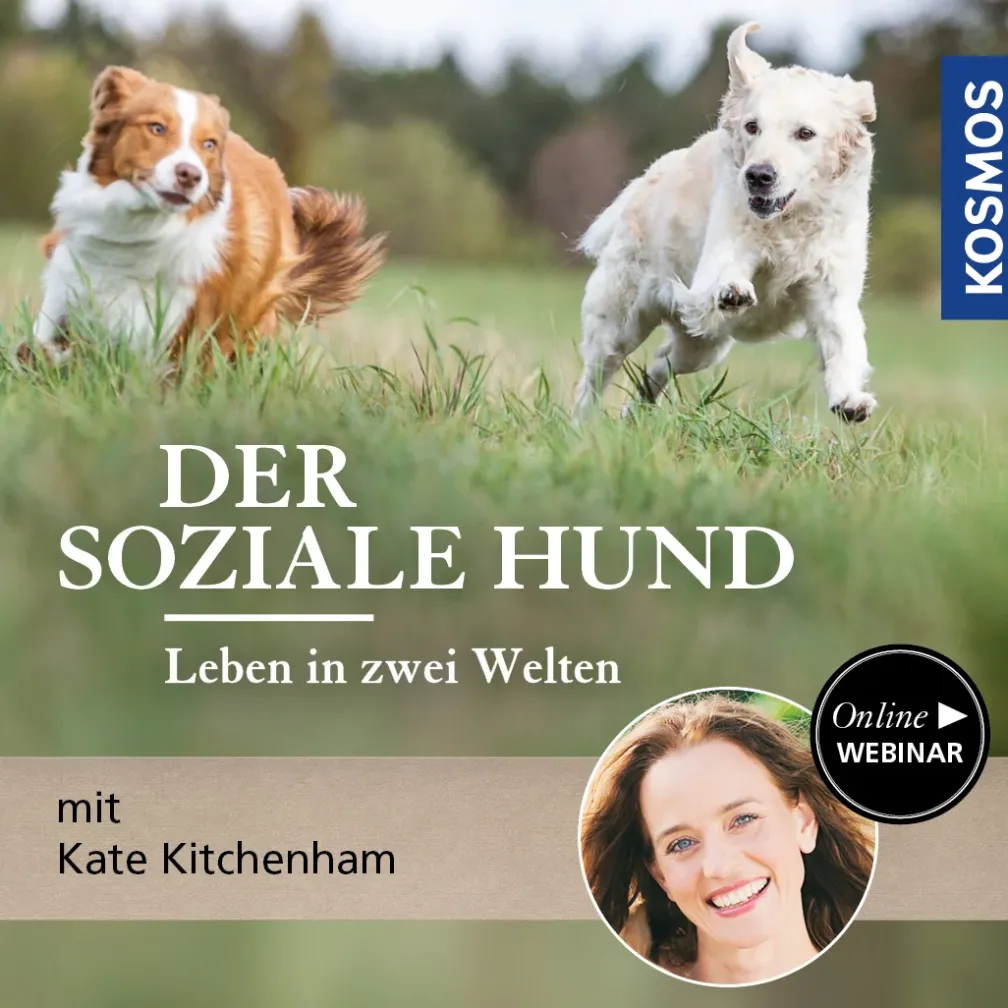 Der soziale Hund – Leben in zwei Welten