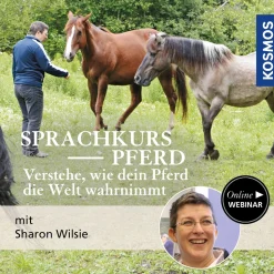 Der Sprachkurs Pferd – Verstehe, wie dein Pferd die Welt wahrnimmt