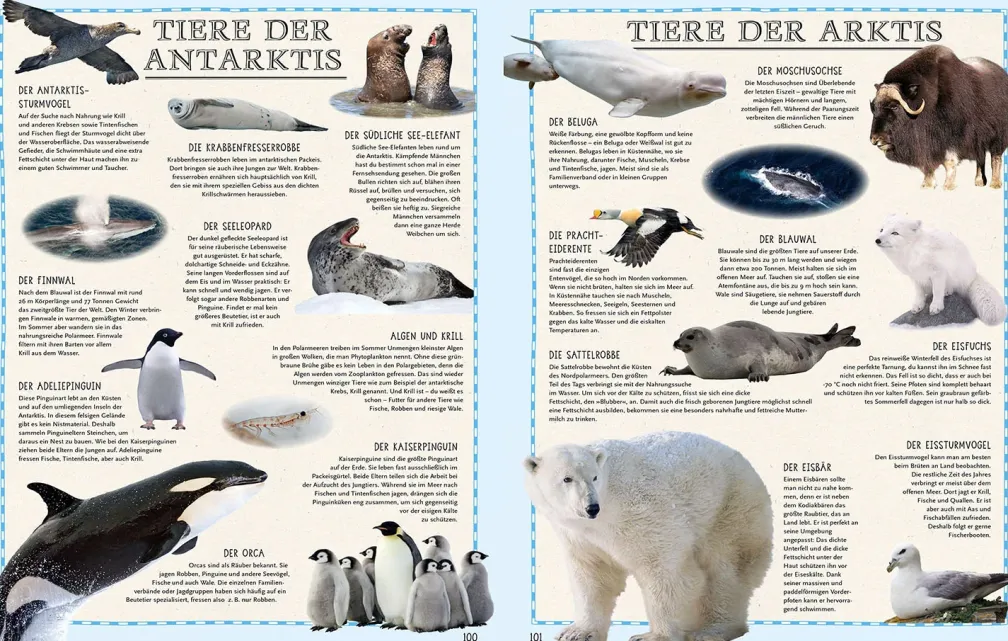 Der Weltatlas