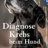 Diagnose Krebs beim Hund