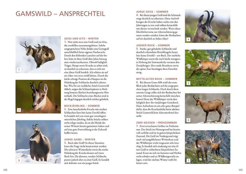 Die Altersansprache des Schalenwilds