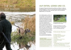 Die Ausbildung des Jagdhundes