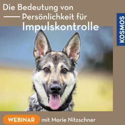 Die Bedeutung von Persönlichkeit für Impulskontrolle